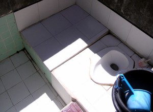 Indonesia: Porcelain Squat Toilet
